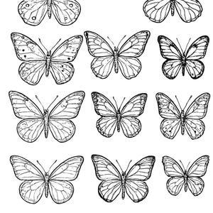 Puede incluir: Una colección de doce ilustraciones detalladas de mariposas en blanco y negro. Cada mariposa se representa con intrincados patrones de alas y detalles del cuerpo, mostrando una variedad de formas y tamaños. Las imágenes están dispuestas sobre un fondo blanco liso.