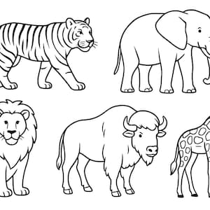 Drawing coloring pages featuring five wild animals