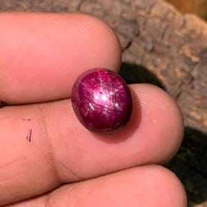 May include: A deep magenta, oval-shaped cabochon gemstone featuring a distinct six-rayed star pattern across its polished, translucent surface. The stone displays a rich, saturated red-purple hue with visible internal inclusions and light reflection.