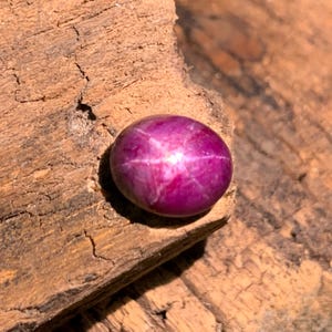May include: A cabochon-cut star ruby gemstone with a deep magenta-red hue, featuring a distinct six-rayed asterism effect that radiates from the center of the smooth, polished, oval-shaped surface of the stone.