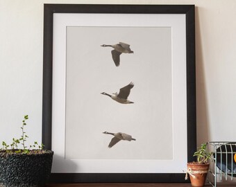 Three Geese in Flight Photography Print | Symmetrical Nature Art (Digital Download)