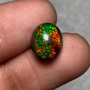 May include: A polished, oval-shaped opal gemstone. The opal displays a dark base color with vibrant flashes of green and red throughout. The gemstone is held between two fingers, showcasing its size and color variations.
