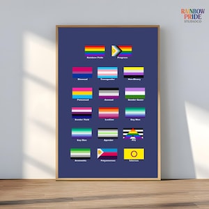 May include: A framed print displaying a collection of LGBTQ+ pride flags, such as Rainbow Pride, Progress, Bisexual, Transgender, Non-Binary, Pansexual, Asexual, Gender Queer, Gender Fluid, Lesbian, Gay Men, Gay Man, Agender, Ally, Aromantic, Polyamorous, and Intersex. The text "RAINBOW PRIDE STUDIO CO" is visible.