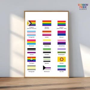 Könnte beinhalten: Ein gerahmter Druck mit verschiedenen LGBTQ+-Pride-Flaggen, darunter Progress, Rainbow, Transgender, Lesbisch, Bisexuell, Pansexuell, Nonbinär, Asexuell, Aromatisch, Genderqueer, Two-Spirit, Agender, Intersexuell, Demigender, Demisexuell und Gay Man. Der Text "RAINBOW PRIDE STUDIO CO" ist sichtbar.