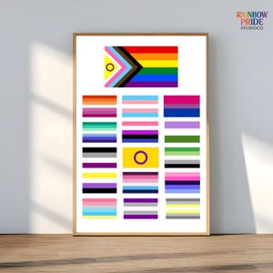 Könnte beinhalten: Ein gerahmter Druck mit verschiedenen LGBTQ+-Pride-Flaggen, darunter die Regenbogenflagge und Flaggen, die verschiedene Identitäten repräsentieren. Der Druck enthält den Text "RAINBOW PRIDE STUDIO CO". Die Flaggen werden auf weißem Hintergrund dargestellt.