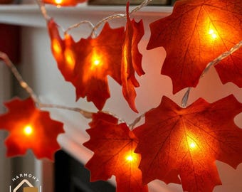 Outdoor Hanging Fairy Lights, Hanging Led String Lights, Outdoor Led Decor, Fairy Decor, Garden Decoration