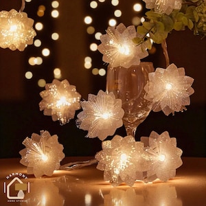 Outdoor Fairy Lights, Garden String Lights, Patio Fairy Lights, Decorative LED Outdoor Lights, Backyard and Home Decor Lighting