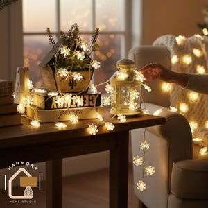 Outdoor Fairy Lights, Garden String Lights, Patio Fairy Lights, Decorative LED Outdoor Lights, Backyard and Home Decor Lighting