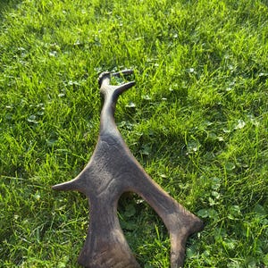 May include: A dark brown, weathered deer antler fragment with a smooth, organic texture and multiple branching points. The object features a curved, elongated main stem that tapers toward the top, with distinct ridges and natural surface markings.