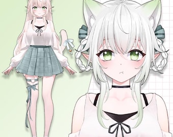 Premade Live2D Vtuber Model: Ready to Use, VTubeStudio Compatible