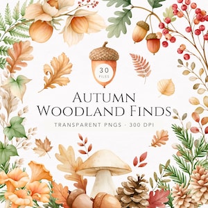 Könnte beinhalten: Eine digitale Sammlung von 30 Aquarell-Elementen aus dem herbstlichen Wald, darunter Eicheln, Pilze, Tannenzapfen, rote Beeren und verschiedene Herbstblätter. Der Text lautet Autumn Woodland Finds, 30 Files und Transparent PNGs 300 DPI auf weißem Grund.