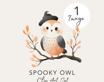 Clipart de Búho Brujo: Ilustración de Halloween con Sombrero de Bruja (Descarga PNG)