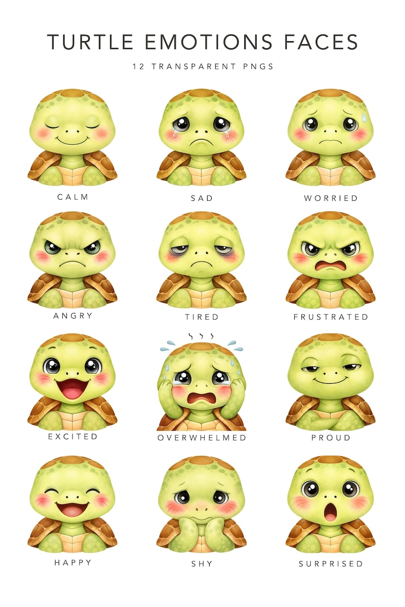 Turtle Emotions Clipart, Cute Turtle Faces PNGS, Feelings Clipart for ...