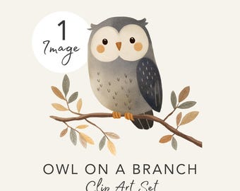 Cute Owl Clipart | Woodland Animal PNG (Digital Download)
