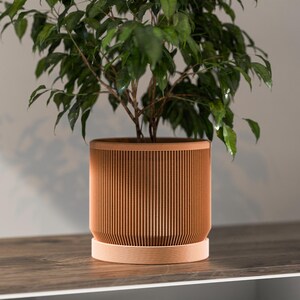 Op de afbeelding: Een cilindrische houten plantenbak met verticale groeven, met een groene bladplant. De plantenbak heeft een lichtbruine kleur en staat op een bijpassende ronde basis. De bladeren van de plant zijn heldergroen.