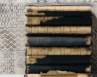 Antique Cooper's Works Books (1891) – Worn Gothic Dark Academia Decor