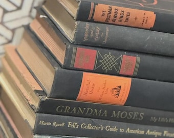 Vintage Halloween Book Decor | Goth Dark Academia Moody Study Decor Bookshelf Styling