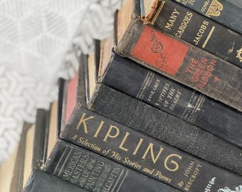 Dark Academia Vintage Book Bundle | Antique Library Books | Moody Study Decor | Gothic Bookshelf Styling