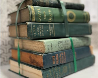 Lote de libros vintage, libros decorativos por color, decoración para estanterías