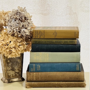 Vintage Book Stack for Home Staging | Neutral Decorative Hardcovers, Early 1900s Styling