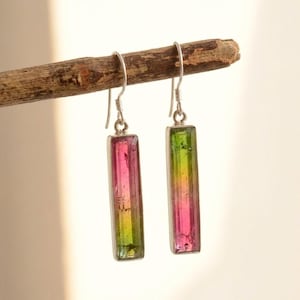 Può includere: Orecchini in argento con pietre di tormalina rettangolari multicolore. Le pietre passano dal rosa al verde, incastonate in una montatura d'argento. Gli orecchini sono sospesi a ganci d'argento, mostrando un design di gioielli colorati.