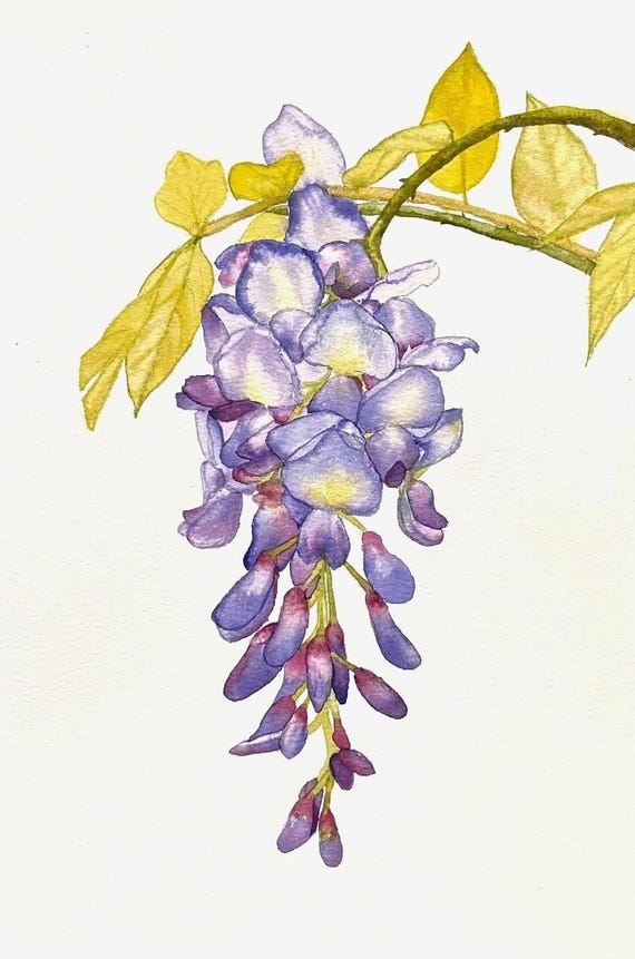藤の花 - Etsy 日本