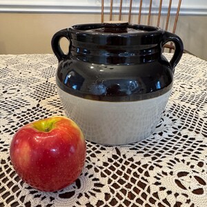 May include: A two-handled ceramic crock featuring a glossy dark brown upper section and a matte light beige lower section, complete with a matching lid. A single red apple with yellow and green highlights sits in the foreground for scale.