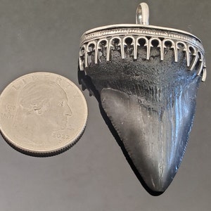 Fossil Megalodon Tooth Pendant