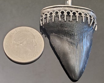 Fossil Megalodon Tooth Pendant