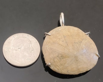 Sterling Silver and California Sand Dollar Fossil Pendant