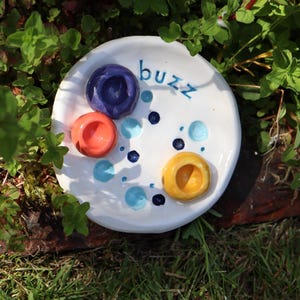 May include: A white ceramic dish with the word "buzz" in blue script. The dish features three colourful, circular indentations in orange, yellow, and purple, along with blue and dark blue dot accents. The dish is surrounded by green foliage.