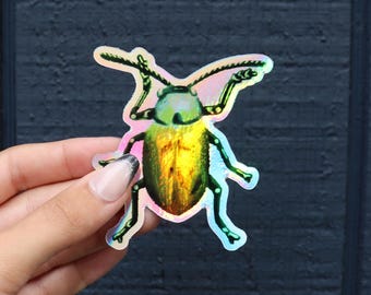 May include: A holographic sticker of a beetle with a green head and a golden body. The sticker has a reflective, iridescent finish, with colors shifting from green to gold to pink. The beetle has detailed legs and antennae.
