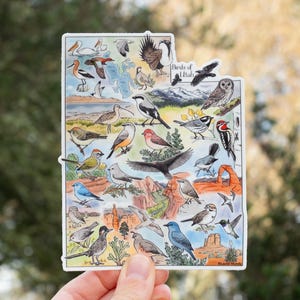 Grand autocollant en vinyle Birds of Utah, 5 x 10 cm, imperméable et lavable au lave-vaisselle