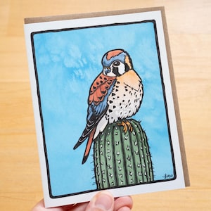 Tarjeta de felicitación de cernícalo americano en papel 100 % reciclado