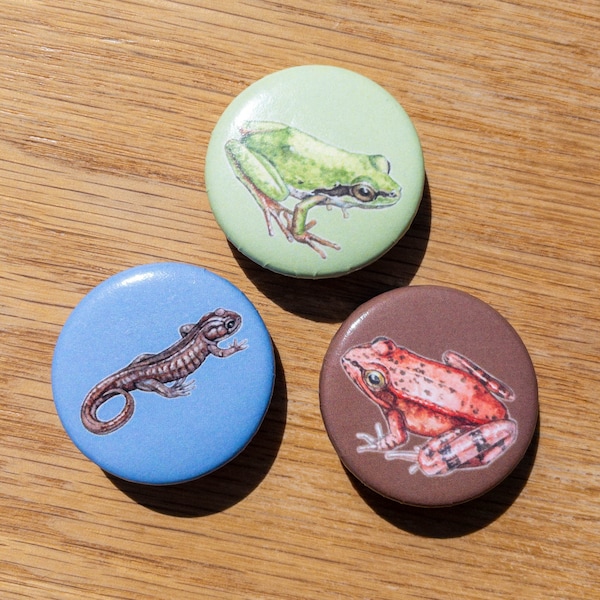 DISCONTINUED Amphibians 1.25" Pin-back Buttons - Tree Frog, Red-legged Frog, Salamander