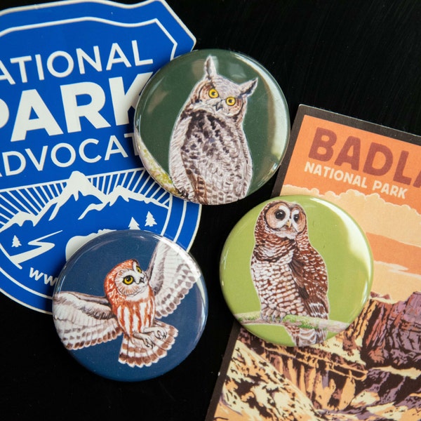 Owl Magnets 1.75" round handmade refrigerator button magnets, set of 3 or individual