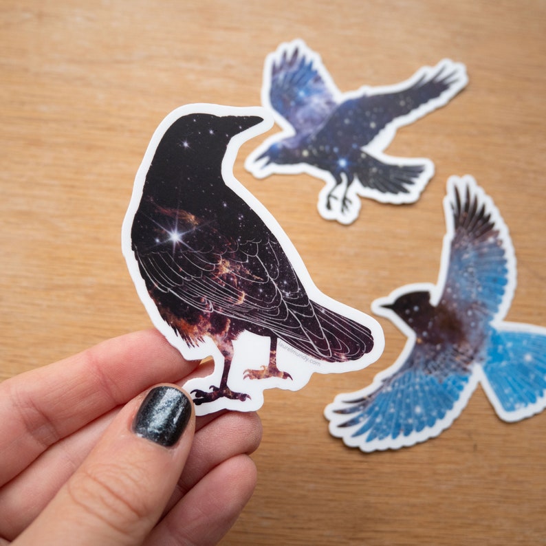 May include: Three stickers featuring different birds with a galaxy pattern. The birds are a crow, a blue jay, and a smaller bird. The stickers are printed on white paper.