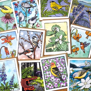 In the Garden greeting cards - Pick-Your-Own set - Birds, flowers, and garden critters greeting cards 100% recycled paper - Set of 3, 5 or 8