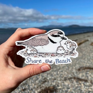Share the Beach Snowy Plovers 4" Medium vinyl bird sticker benefiting American Bird Conservancy water resistant