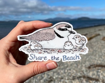 Share the Beach Snowy Plovers 4" Medium vinyl bird sticker weatherproof dishwasher safe
