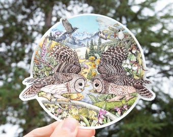 May include: A round sticker featuring a colorful illustration of two owls facing each other in a forest setting. The owls are brown and white with black markings. The background includes trees, flowers, and a stream.
