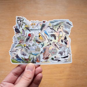 Grand sticker Birds of Oregon, 5 x 3,75 po., imperméable et lavable au lave-vaisselle