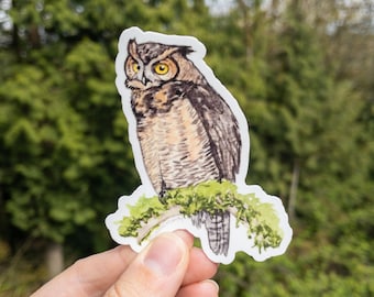 Puede incluir: Una pegatina con una ilustración en acuarela de un búho cornudo posado en una rama musgosa. El búho tiene plumas marrones y beige, ojos amarillos y un contorno blanco. La pegatina se sostiene en una mano sobre un fondo verde borroso.