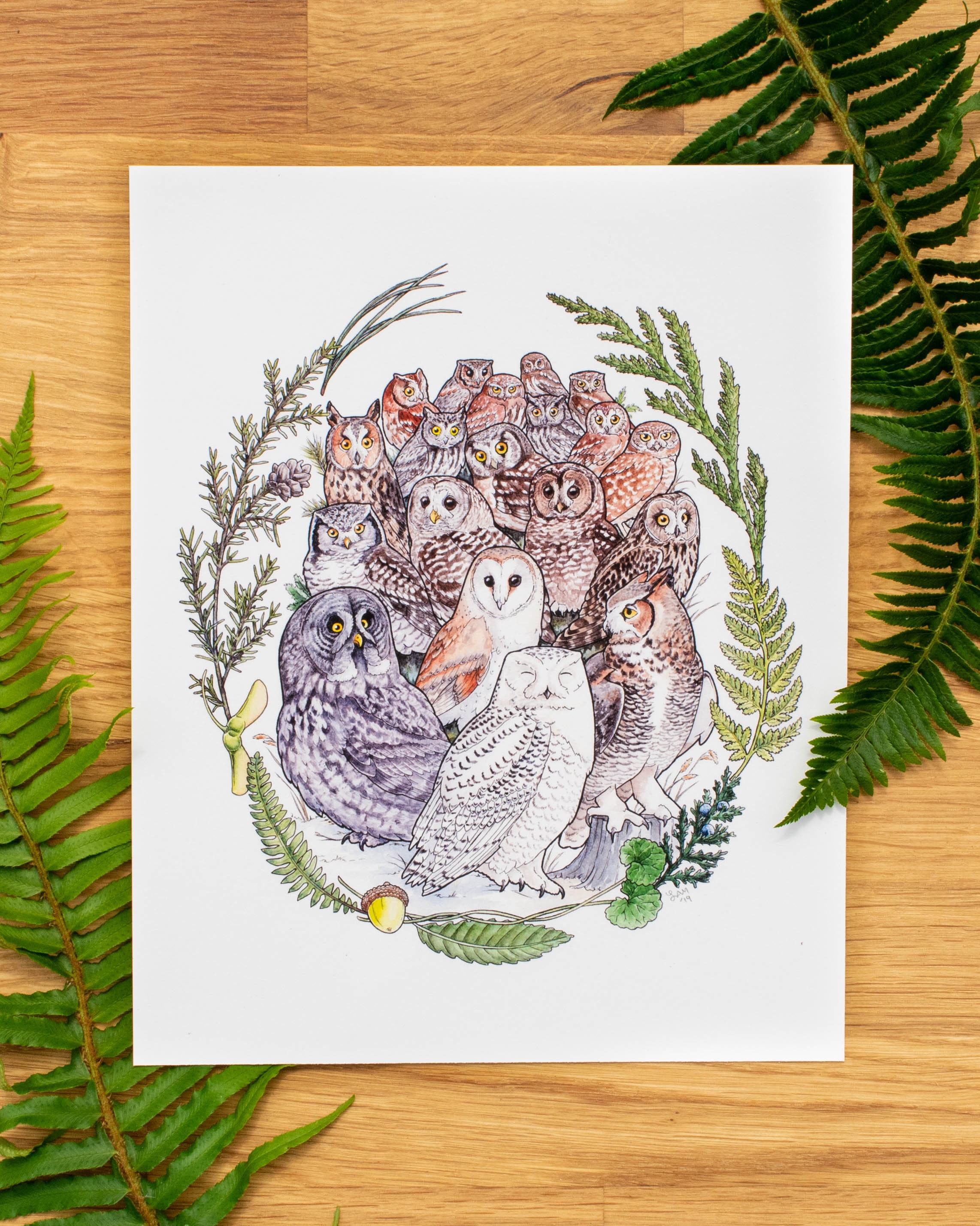 Owl Family Portrait 8x10 or 11x14 fine art print