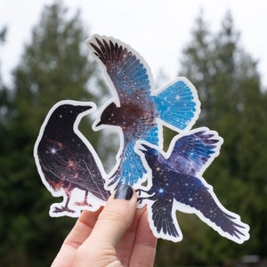 May include: Three bird stickers with a celestial galaxy design. One raven is black with a starry pattern, another is blue with a galaxy design, and the third is a dark blue raven with a starry pattern. The stickers are held in front of a blurred green background.