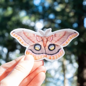 May include: A sticker of a brown and pink moth with large, black eyes and yellow accents. The moth is depicted with its wings spread open.