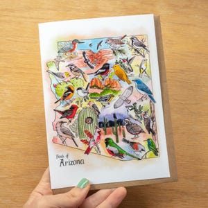 Carte artistique Birding Arizona 5 x 7 avec enveloppe 100 % recyclée, carte des oiseaux de l'État