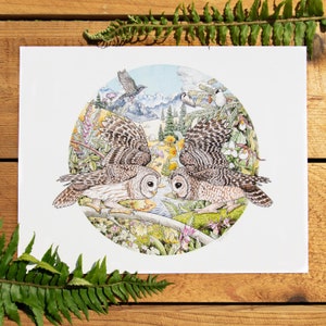 Competitors (Spotted Owl and Barred Owl) 8x10 or 11x14 fine art print