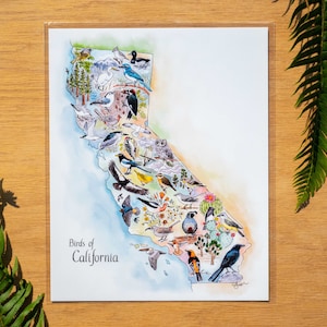 Mapa de observación de aves de California, impresión artística de 11 x 14 o 8 x 10, nueva edición: mapa para observadores de aves