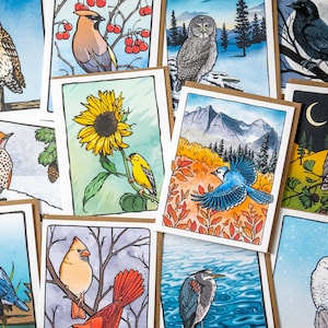 Tarjetas de felicitación de aves del este de Norteamérica - Juego de tarjetas personalizables - Papel 100 % reciclado - Juego de 3 u 8